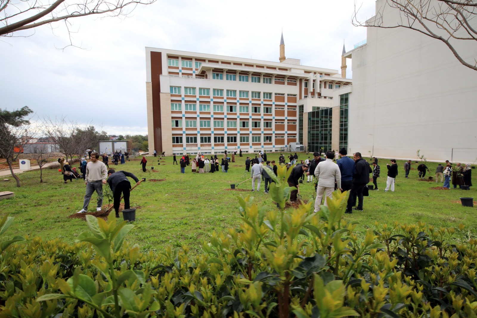Akdeniz &Uuml;niversitesi Fidan Dikimi