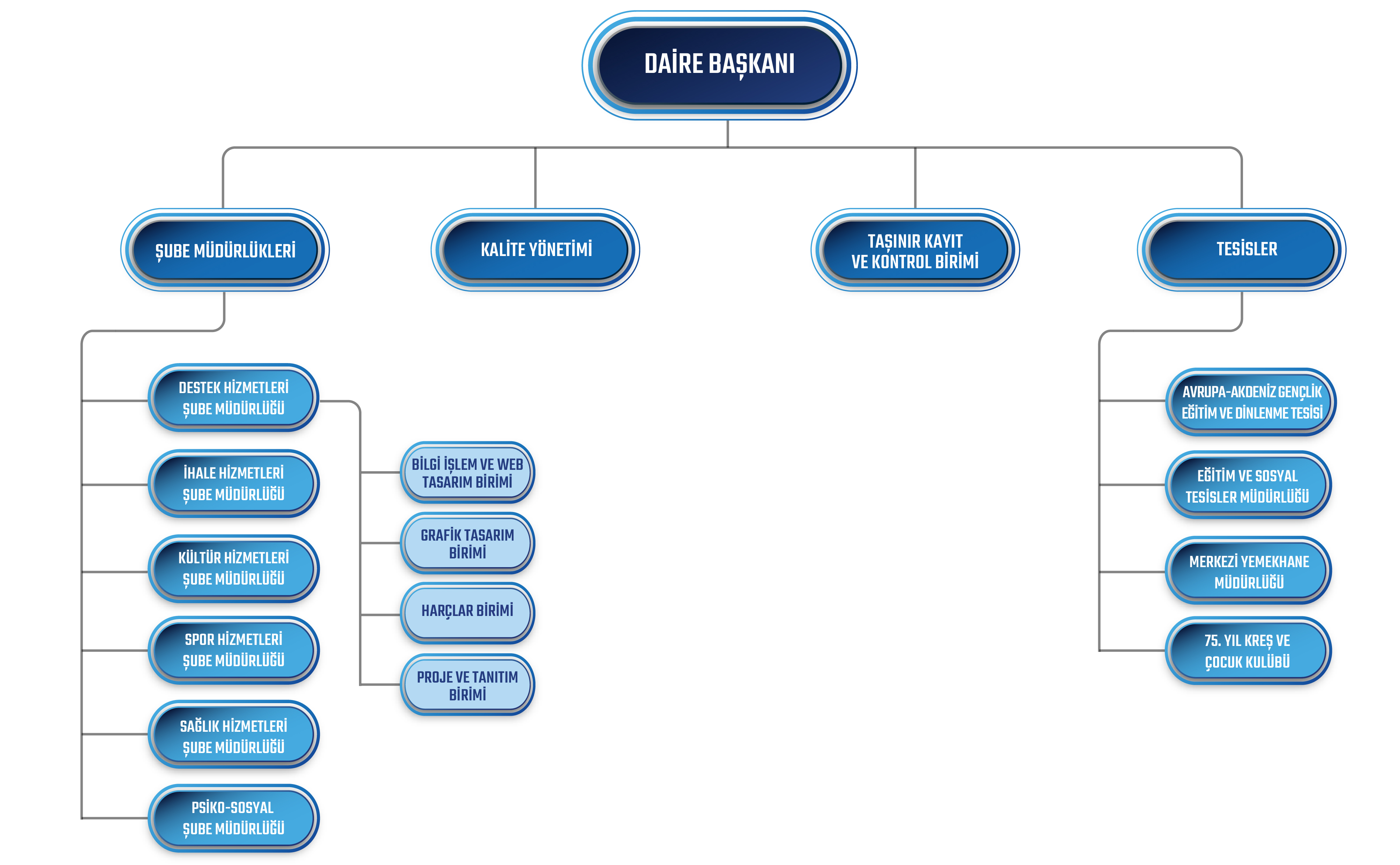 SKS-Organizasyon şeması 2025.jpg