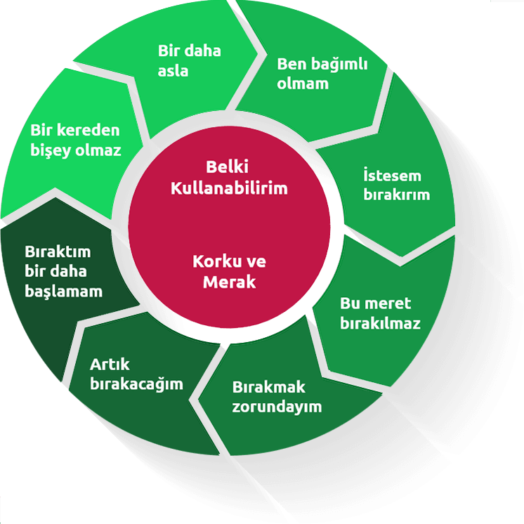 alkol-bagimliligi-chart-tr.png