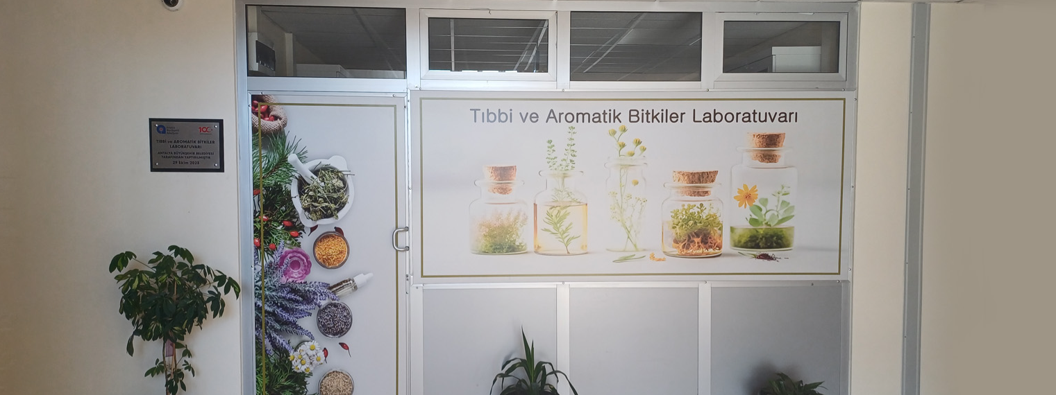 https://webis.akdeniz.edu.tr/uploads/1025/slider/d9a4b8bd-e5eb-4a60-82e2-9a731be303e6.png