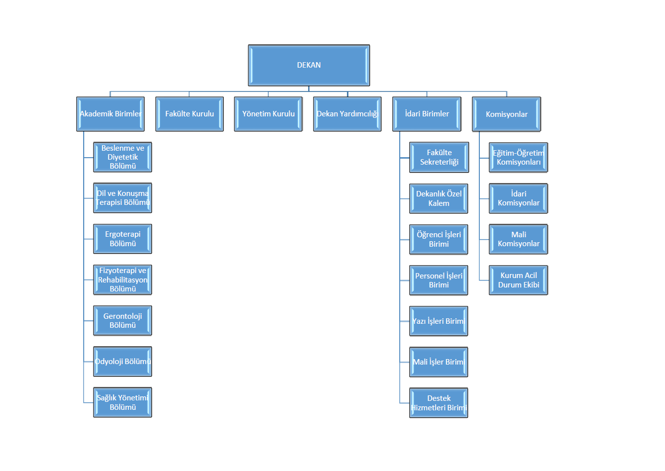Organizasyon Şeması.png