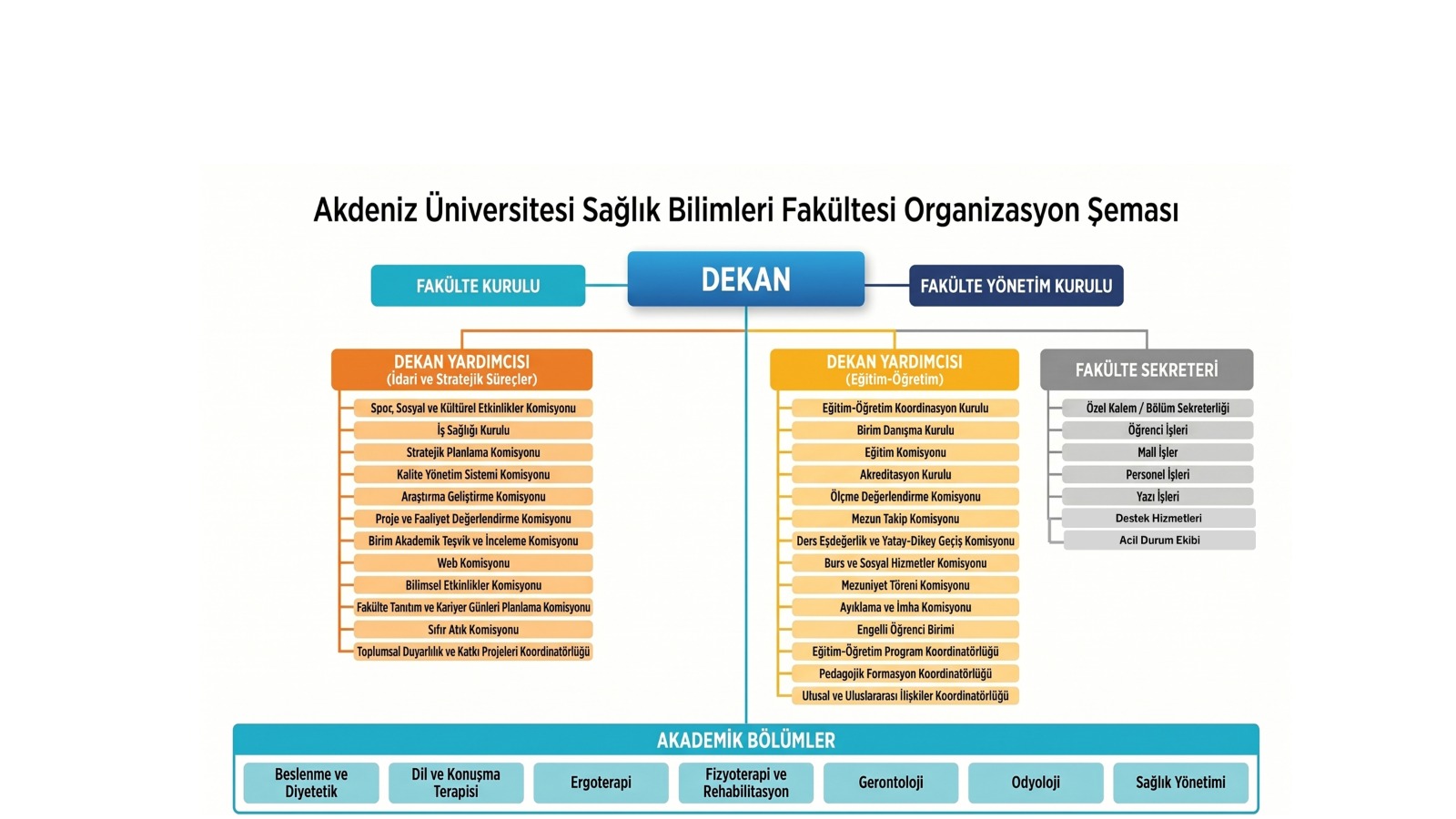 Organizasyon Yapısı.jpeg