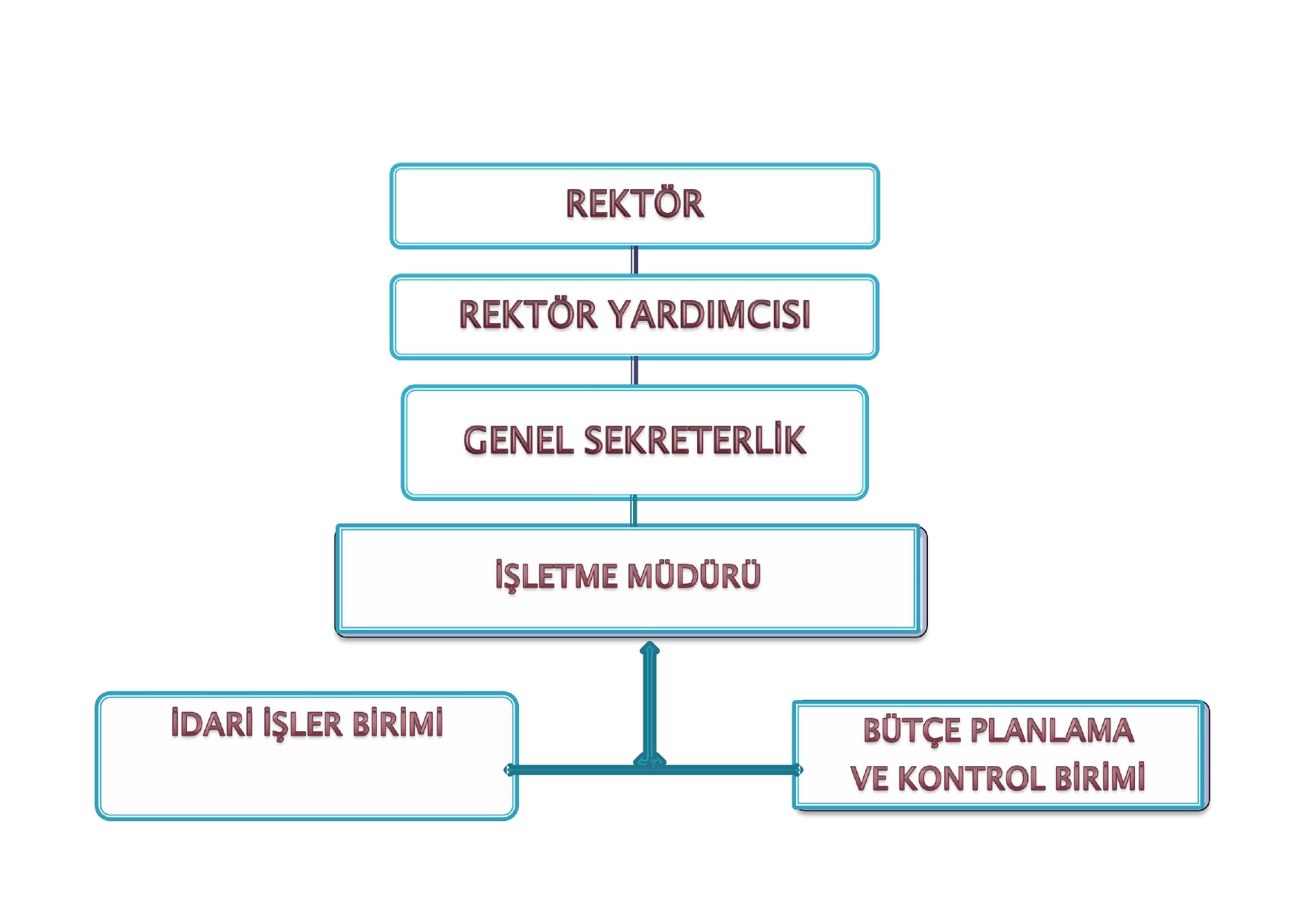 ORGANİZASYON ŞEMASI_page-0001.jpg