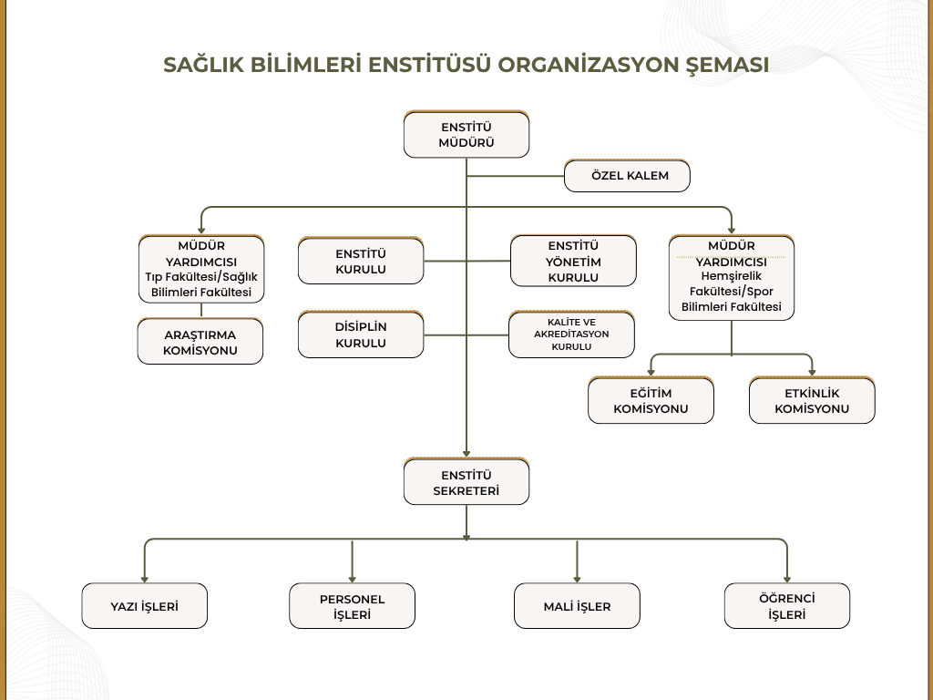sbeorganizasyon.png
