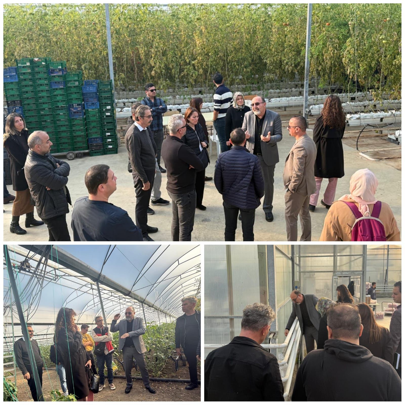 WhatsApp Image 2026-01-07 at 11.53.20 AM.jpeg