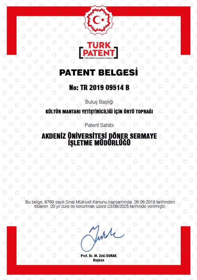 Ekran Alıntısı.JPG