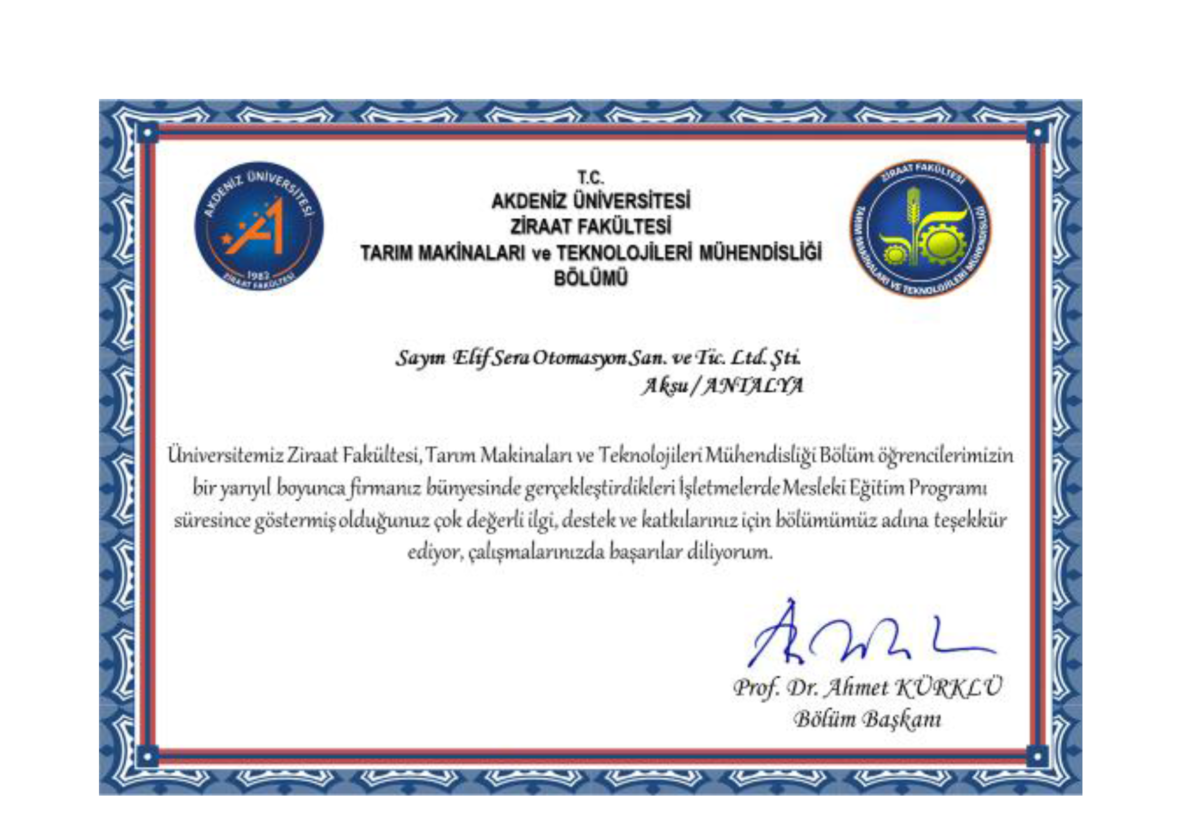 ELİF S.png
