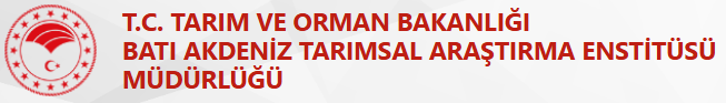 batem.png