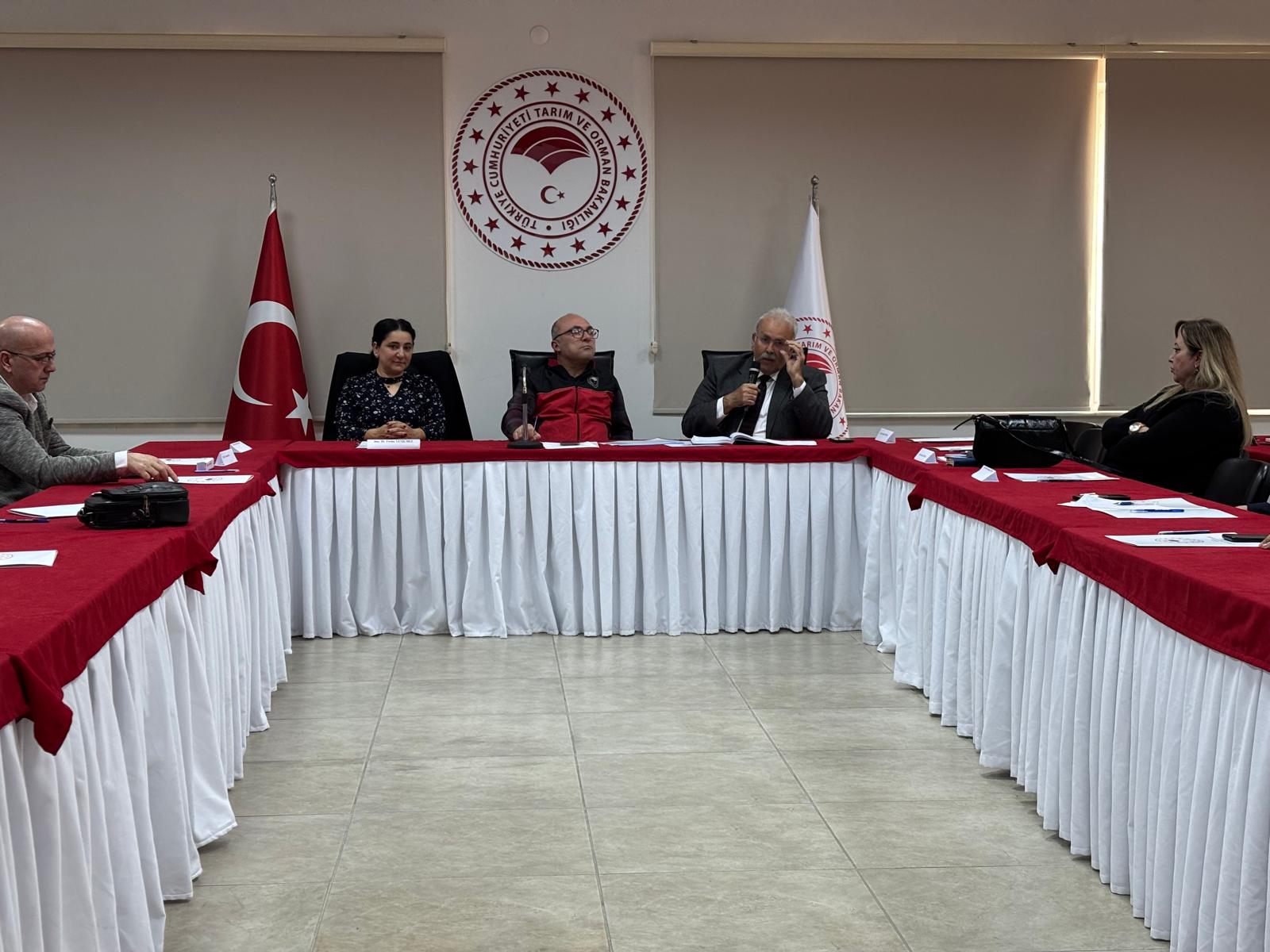 WhatsApp Image 2025-12-05 at 09.55.55.jpeg