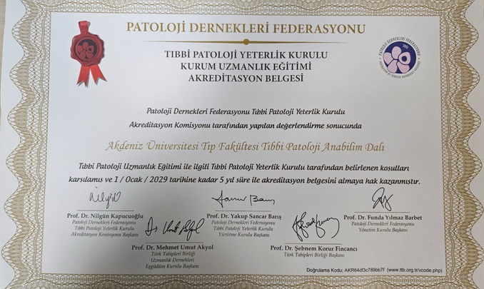 2. AKREDİTASYON BELGEMİZ (01.01.2029 A KADAR9.jpg
