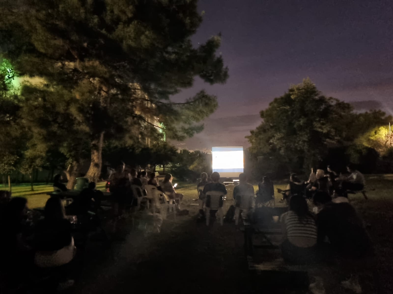 WhatsApp Image 2025-07-11 at 12.42.09.jpeg