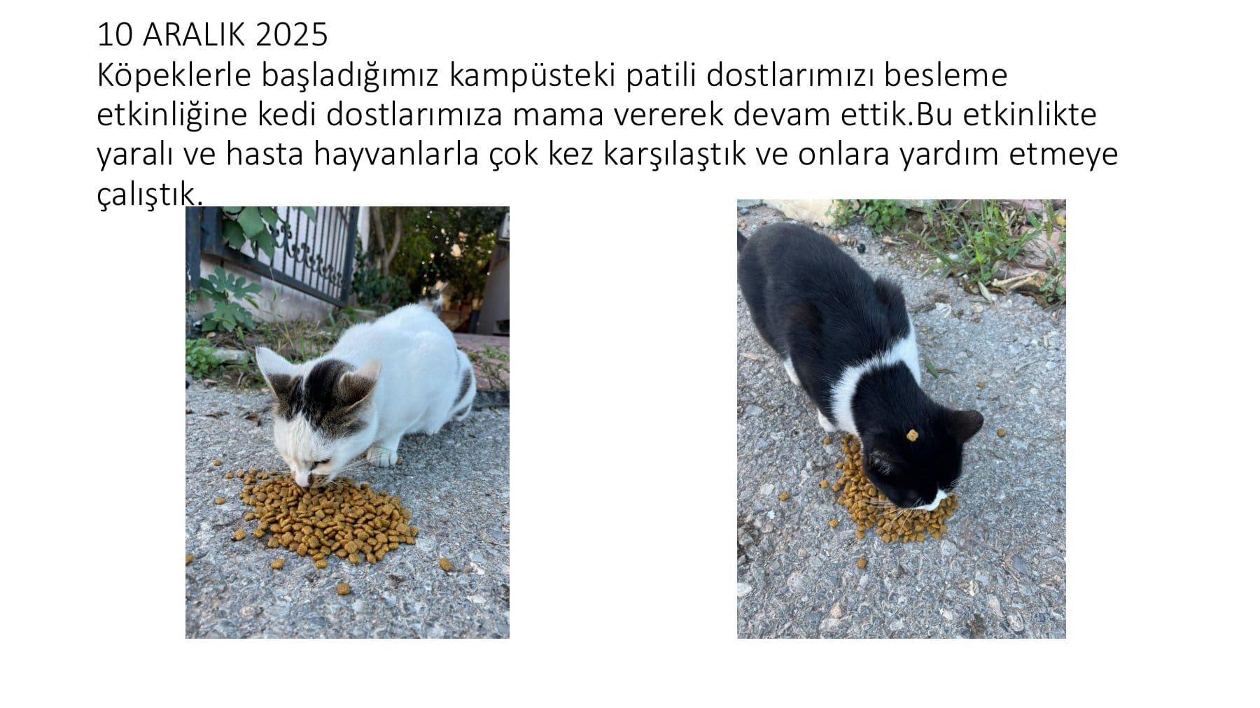 WhatsApp Image 2026-01-22 at 16.53.52.jpeg