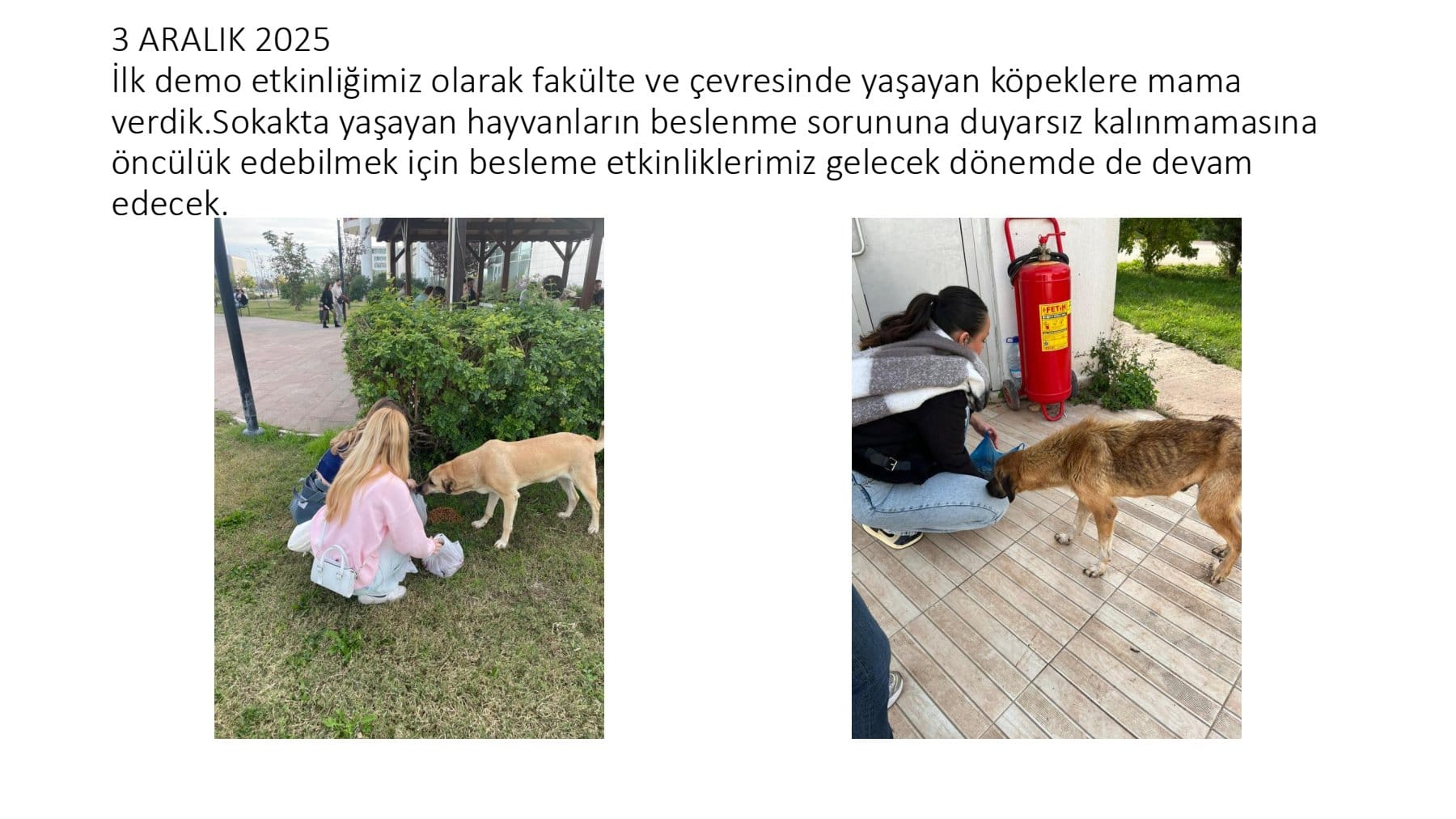 WhatsApp Image 2026-01-22 at 16.53.13 (1).jpeg