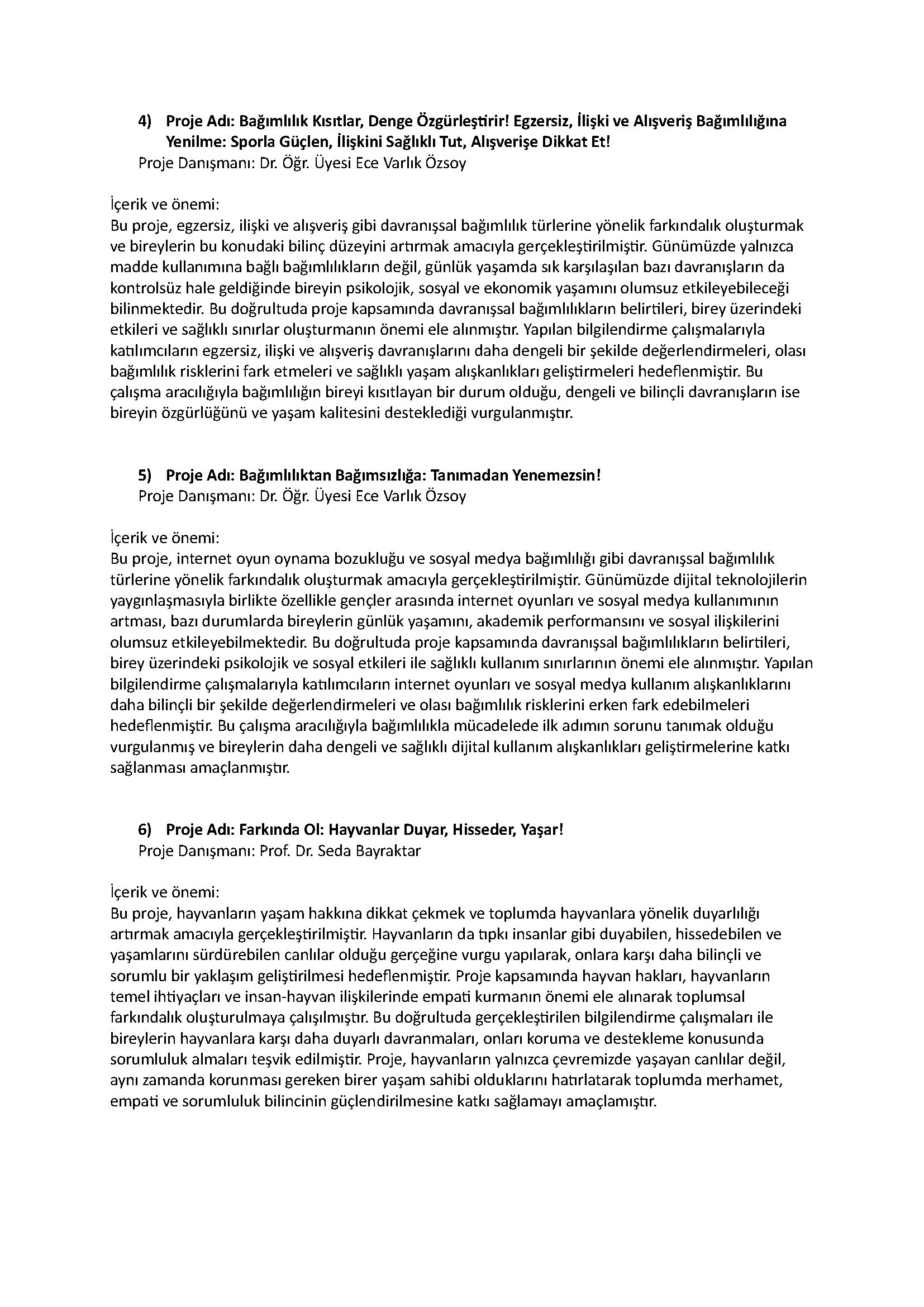 TDP Projeleri_2024-2025_Page_2.jpg