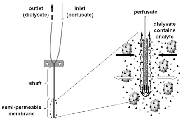 Fig.1.jpg