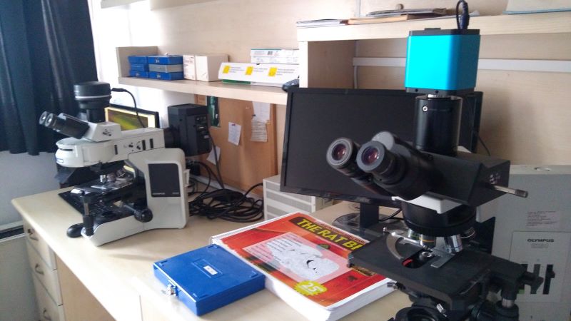 Microscopy-Lab-2-1.jpg
