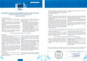 3afd64cf-4448-4cbf-b564-55182bf111a6.jpg