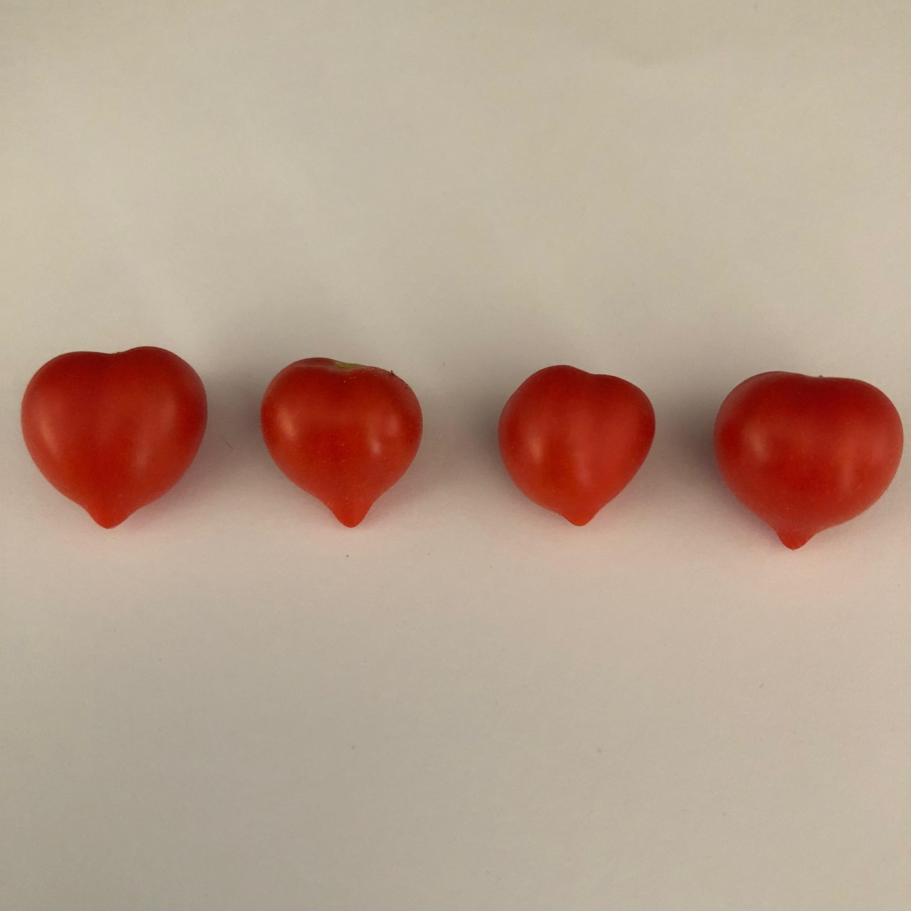 content-slider
