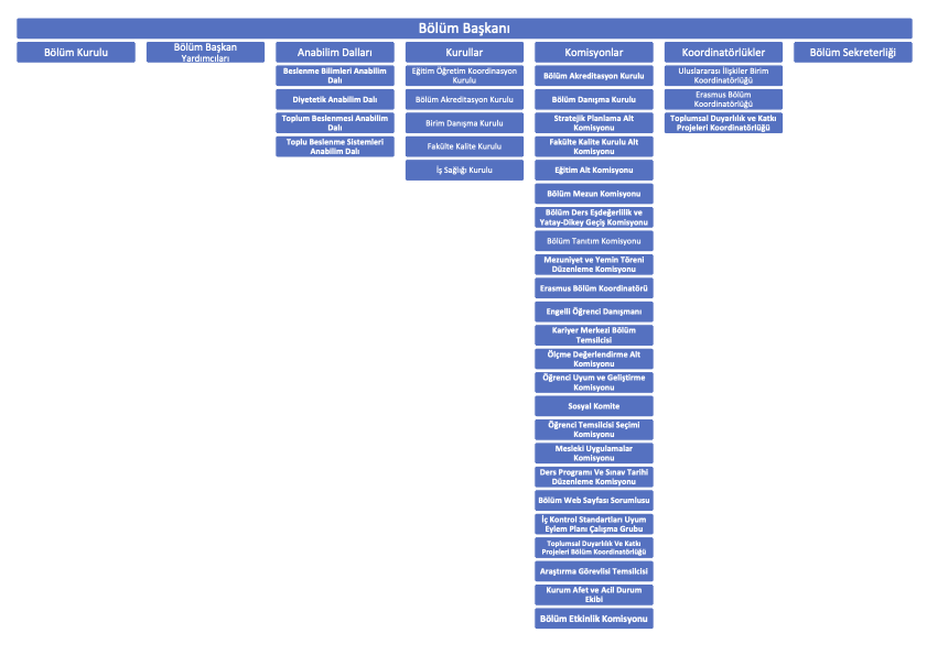 Organizasyon Şeması.png